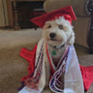 Meet your Posher, Brennan